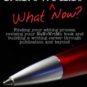 NaNo What Now? Finding your editing process, revising your NaNoWriMo book and building a writing career through publishing and beyond